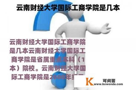 云南财经大学国际工商学院是几本