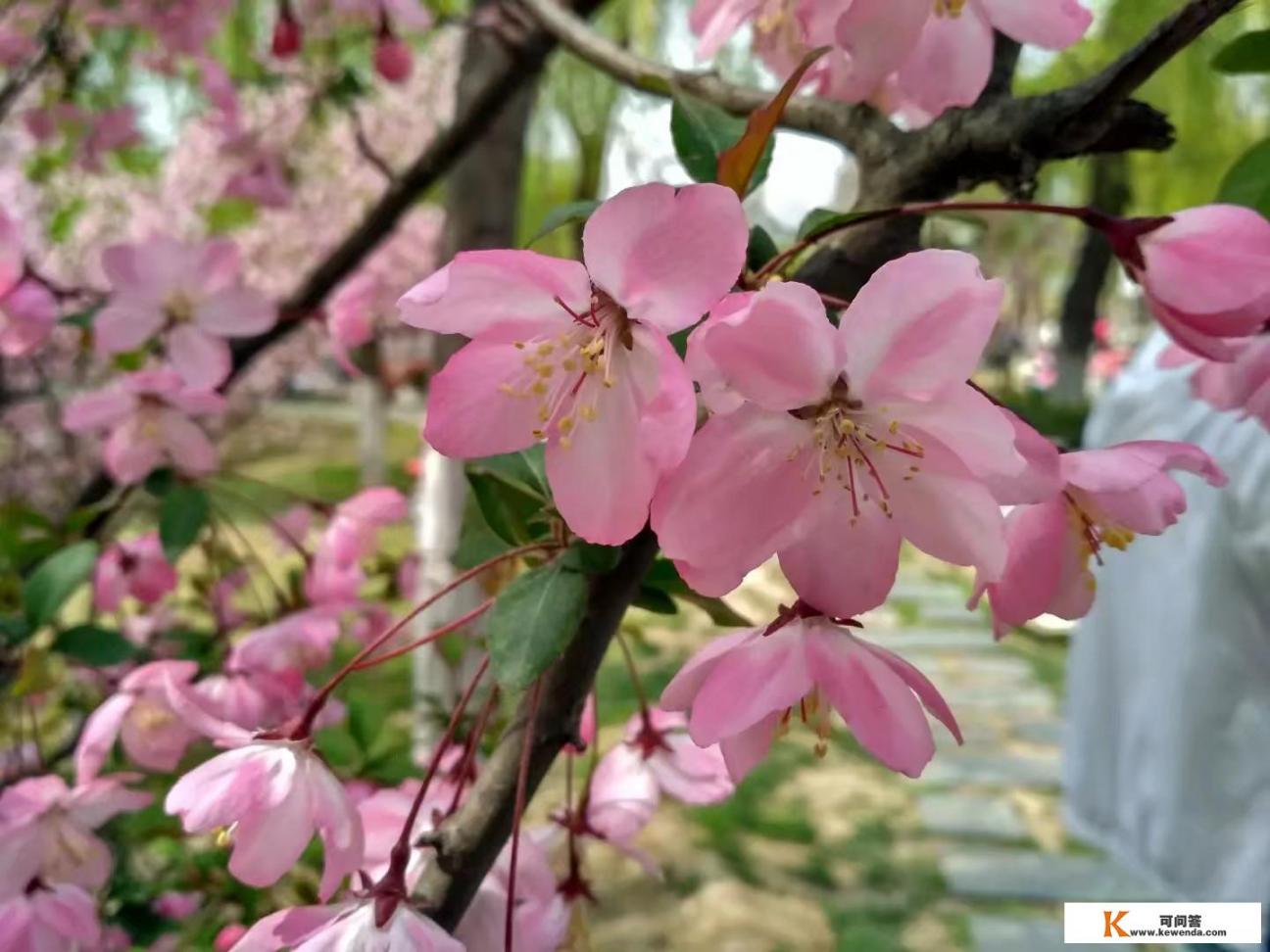 西安这么多免门票的景点，你都往过哪个