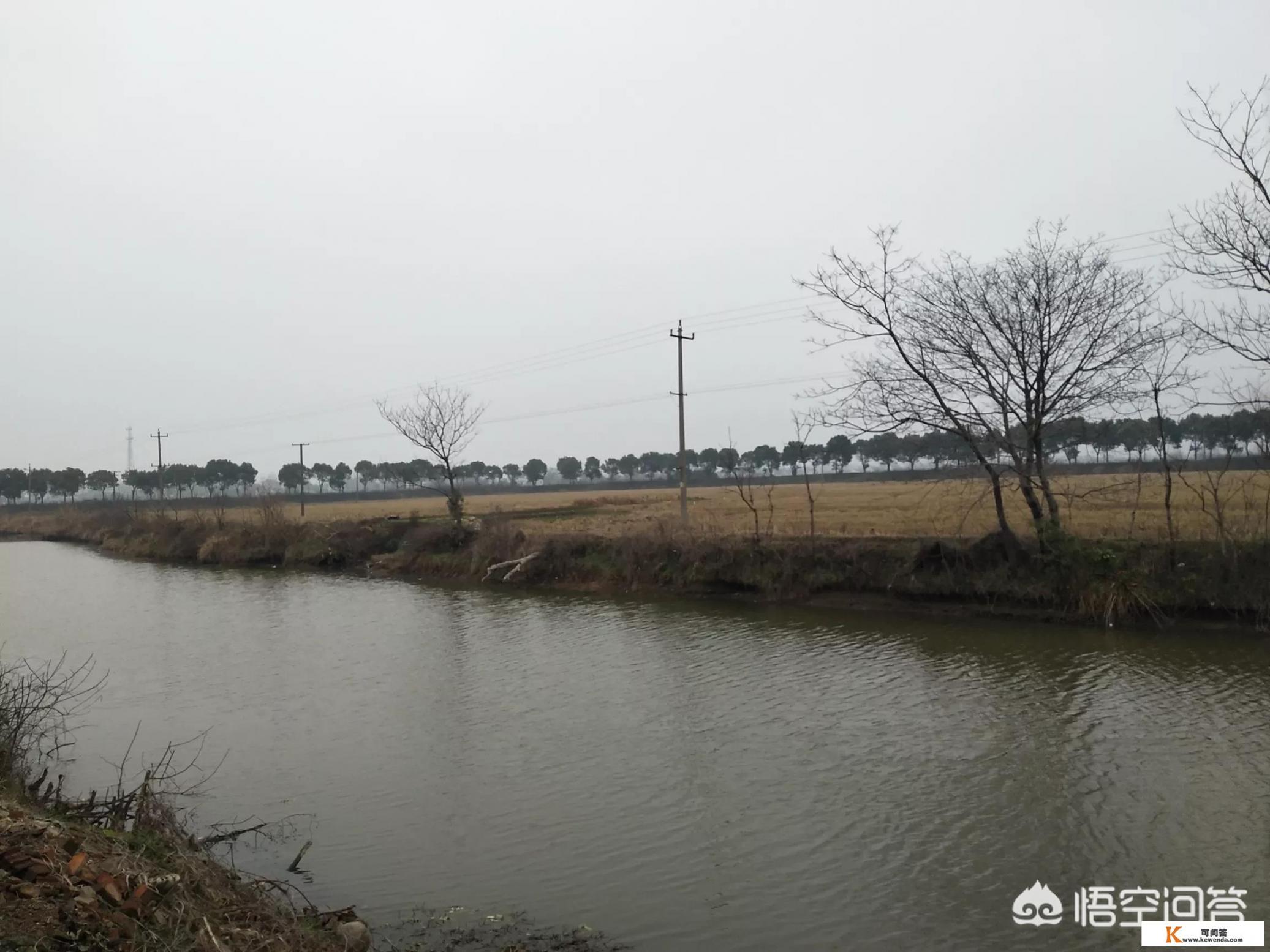 春节自驾南京，在哪住宿最经济实惠