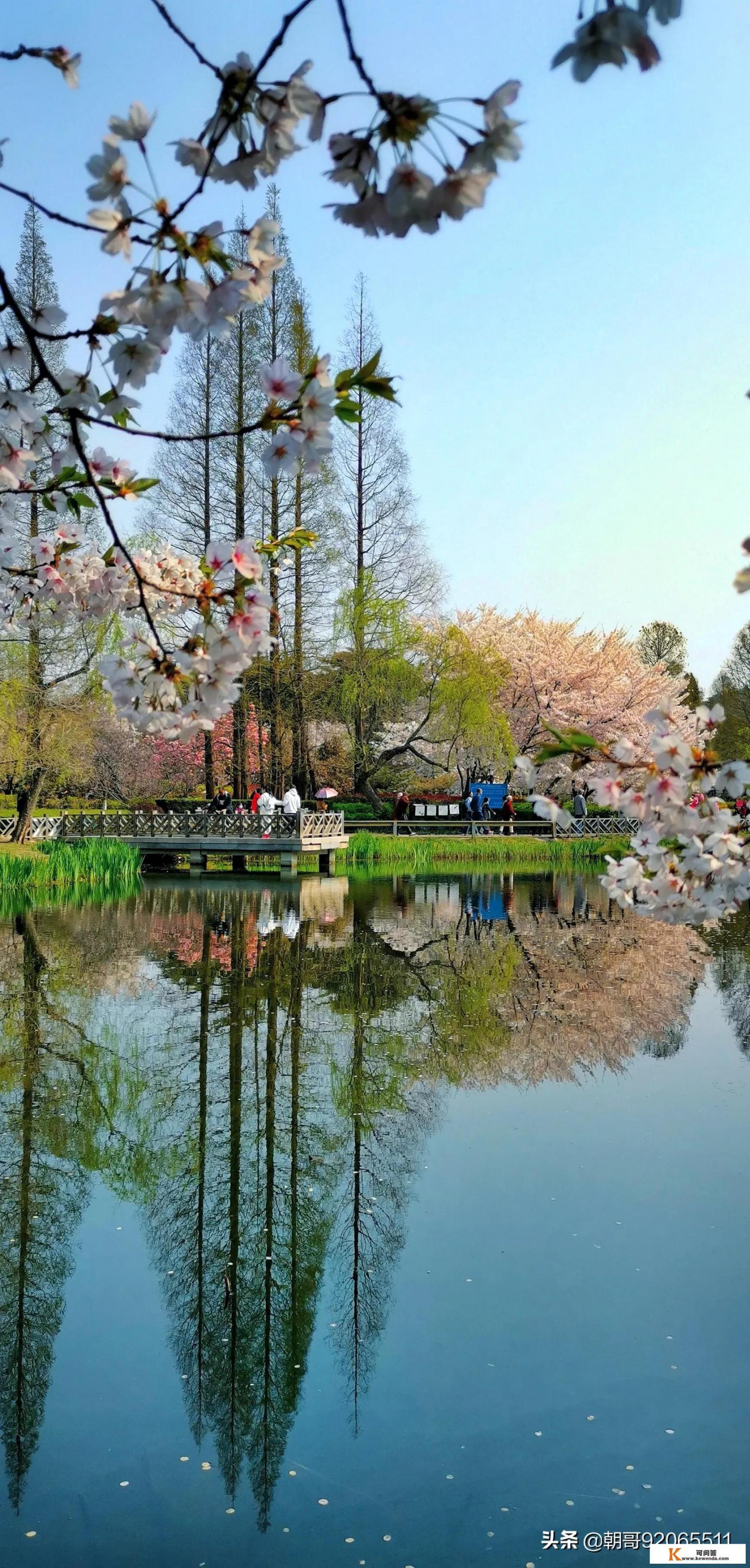 国内最值得旅游的十大城市和十大景点都是哪些