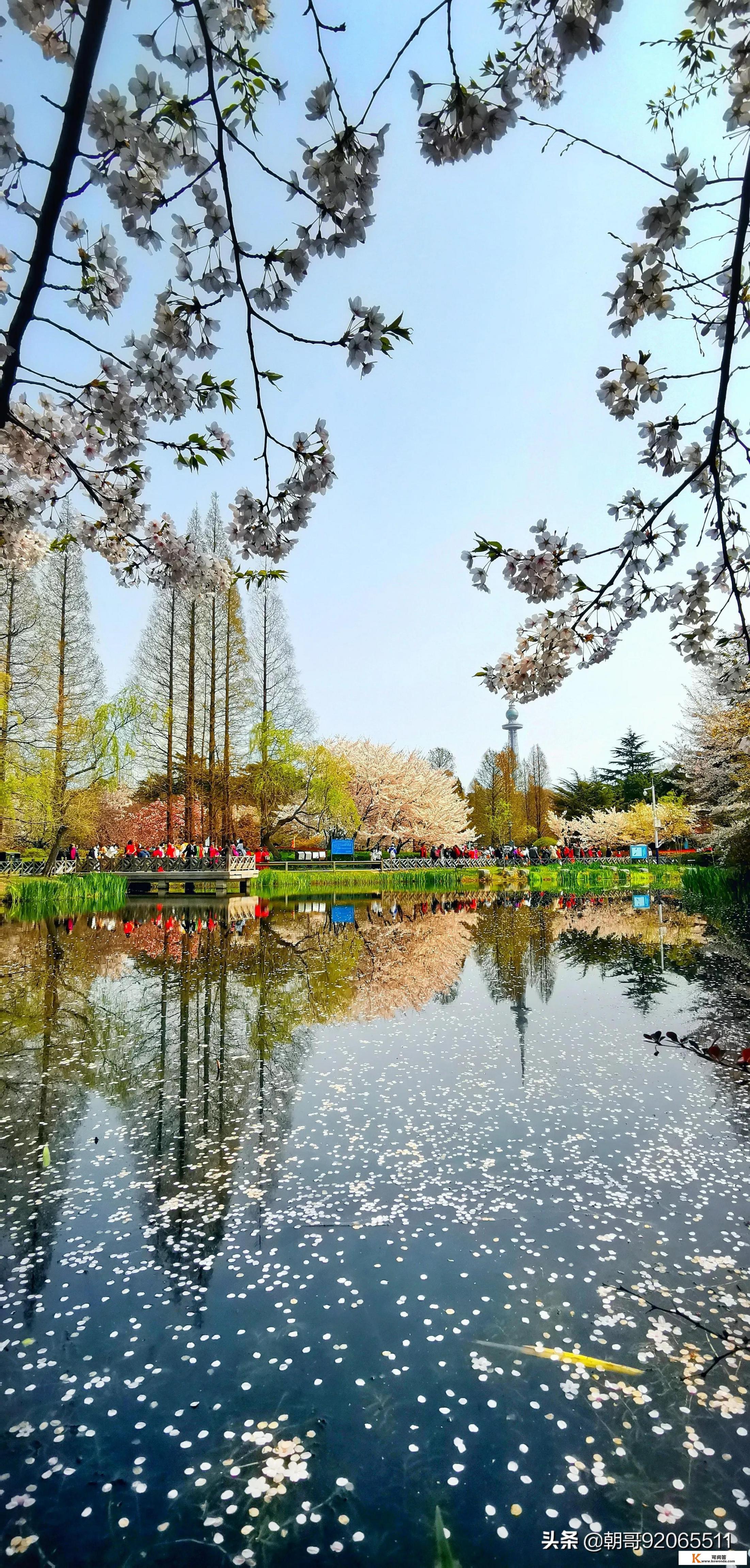 国内最值得旅游的十大城市和十大景点都是哪些