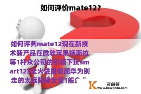 如何评价mate12？