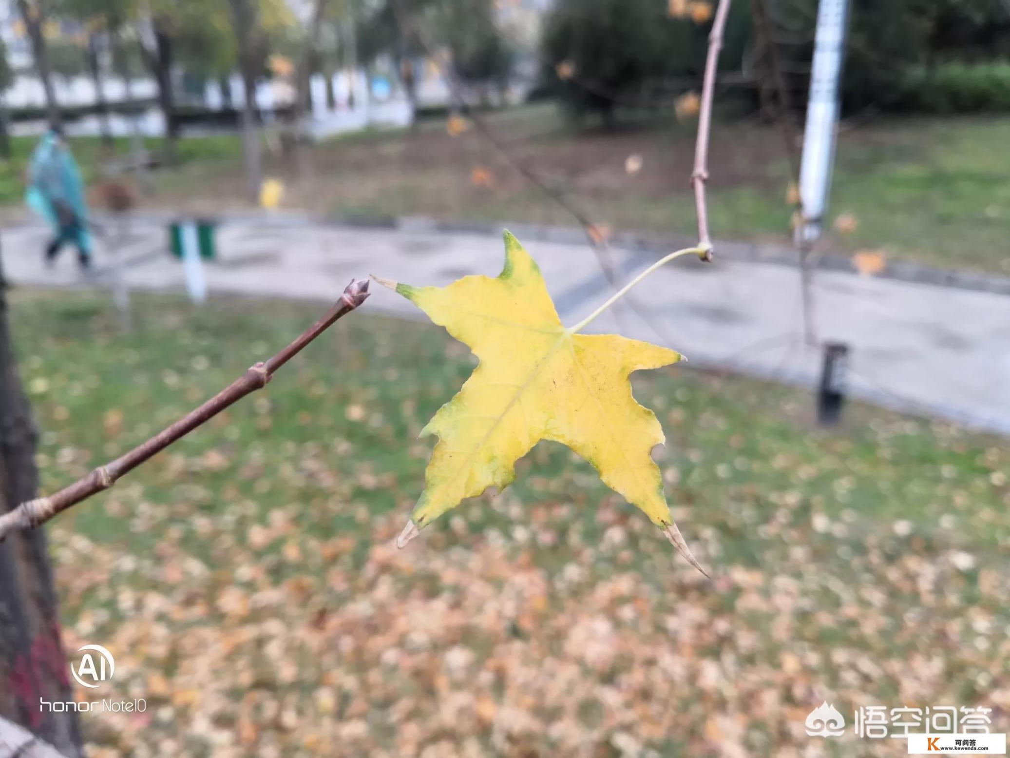 华为手机和电脑之间怎样互传照片