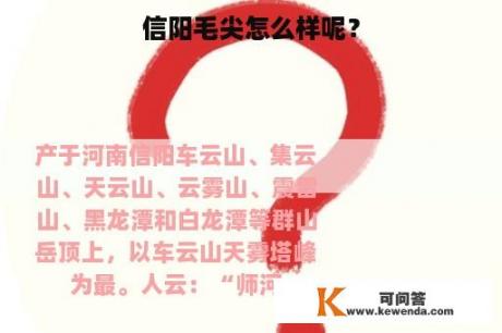 信阳毛尖怎么样呢？