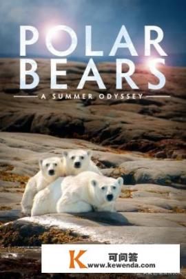 以北极熊为主角的电影有哪些