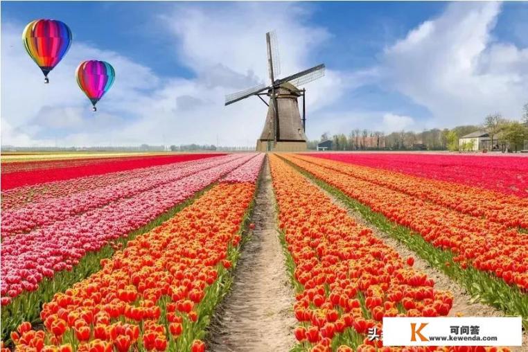 你去过荷兰旅行吗？可以分享你的旅行体验吗