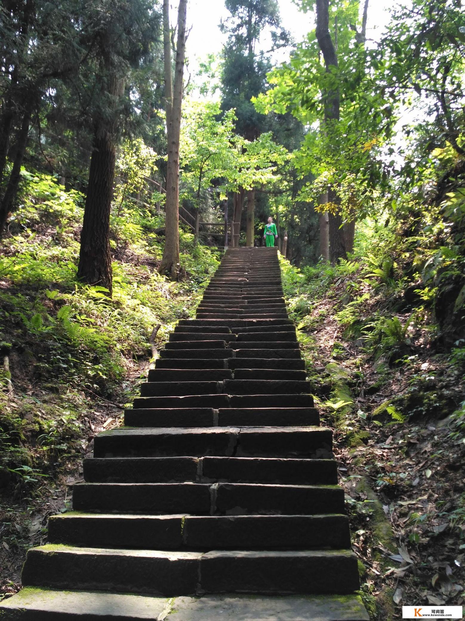 有哪些职业是可以一边旅行，一边挣钱养活自己的