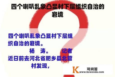 四个喇叭乱象凸显村下层组织自治的窘境