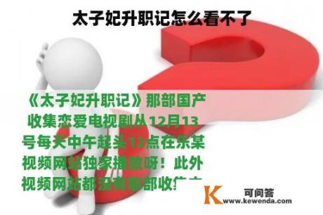 太子妃升职记怎么看不了