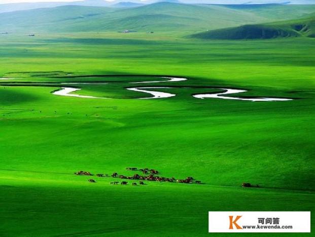 内蒙古有九大草原，来草原旅游过的你觉得哪个草原最美啊
