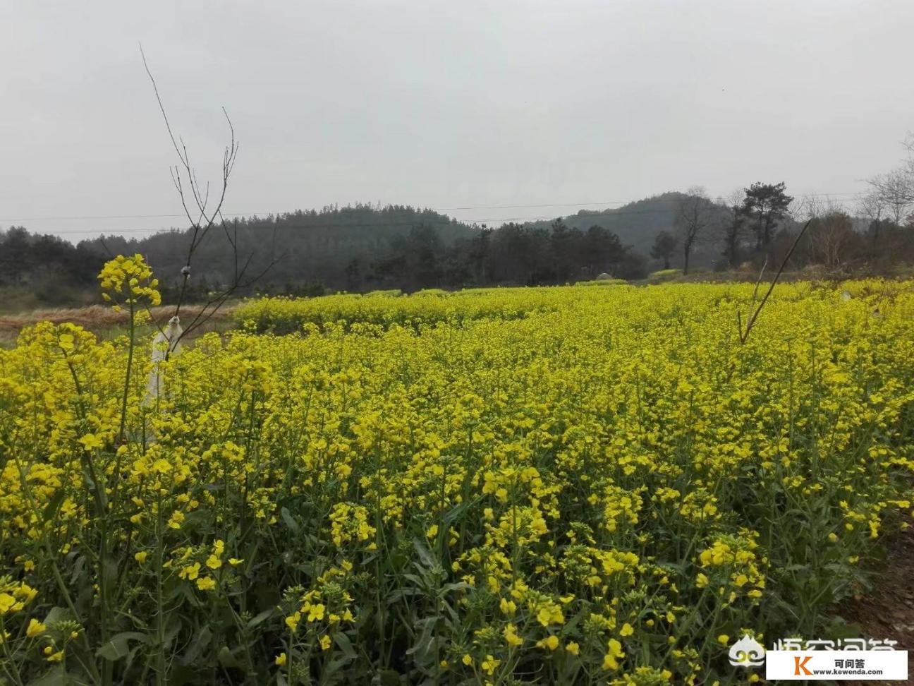 有什么看开头就无法自拔的小说