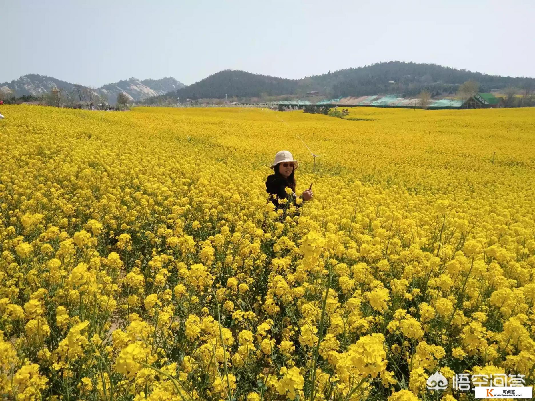 是什么把跟团游搞臭了