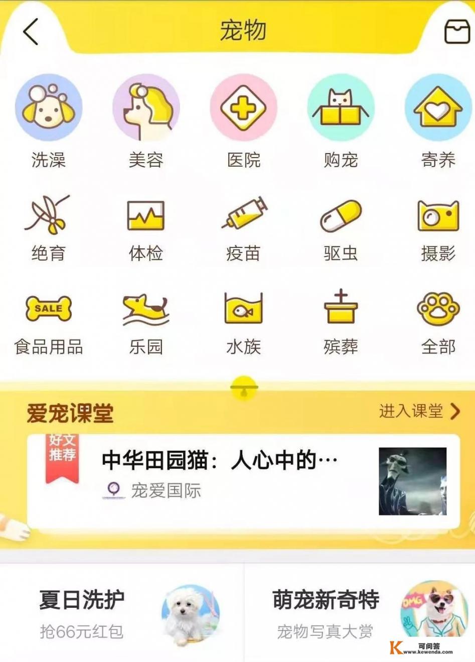 有哪些宠物软件app