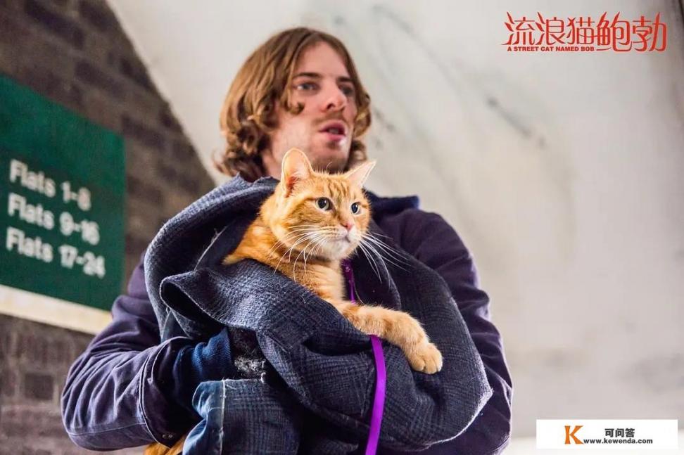 画质特别好的电影有什么推荐_适合15年级孩子看的科幻电影