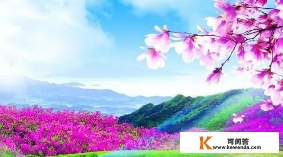 虹主题曲的歌词含义_你认为最美好的一个成语是什么