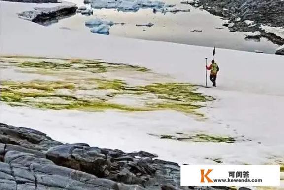 继二月份西瓜雪之后，南极惊现“大草原”，到底是怎么发生的_让人忍不住摘抄的句子有哪些