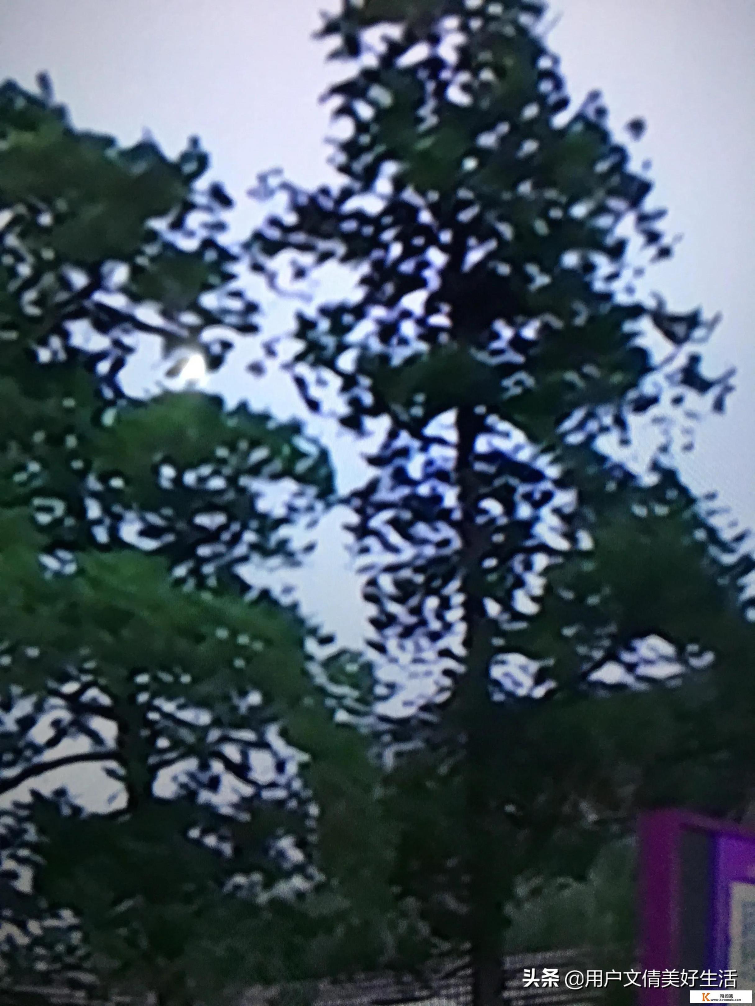 为什么会有那么多人宁愿没钱花待在家里，也不愿意出去工作_有了家庭后，还能一个人去旅行吗