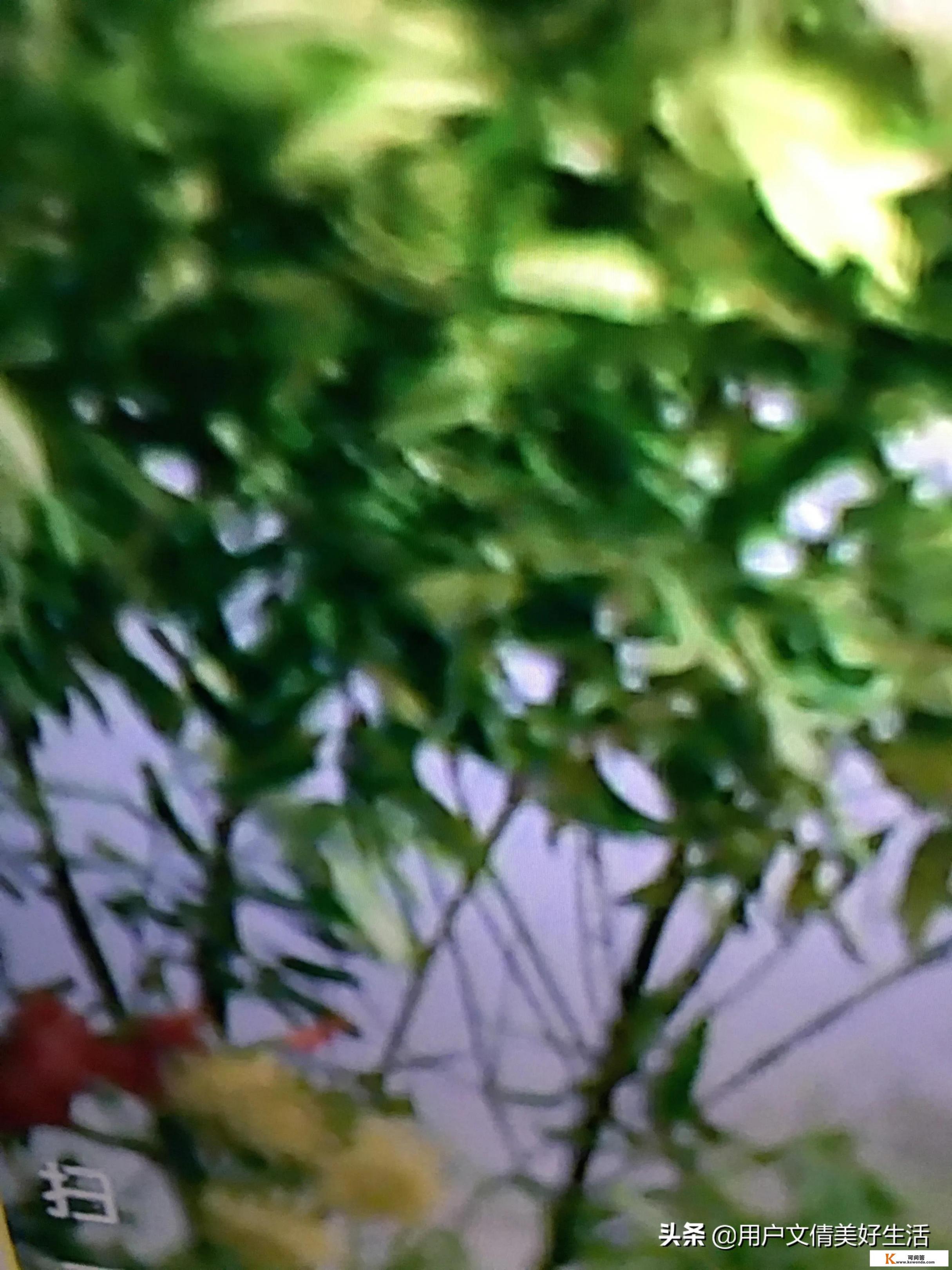 为什么会有那么多人宁愿没钱花待在家里，也不愿意出去工作_有了家庭后，还能一个人去旅行吗