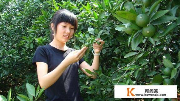 农家女被顶替上大学16年后才知晓，索要多少补偿才能弥补_陈浩李浩小说免费阅读