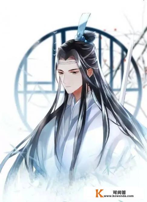 动漫《魔道祖师》里面，你喜欢哪个家族的服饰？为什么_哪部网络小说让你看了好几遍