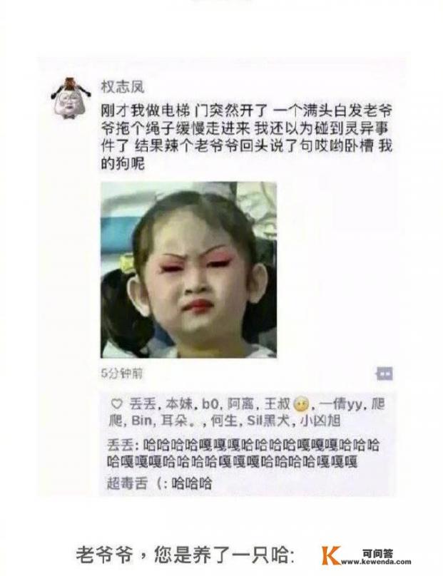 朋友圈有哪些沙雕网友发的说说最搞笑_哪些APP小众但很实用