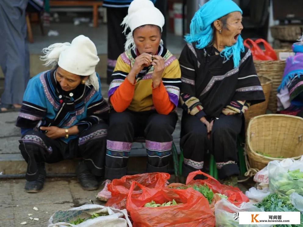 去森林游玩，遇到一大蟒蛇用什么办法逃过一难_旅行中的野炊，用简单追寻快乐，志同道合的你有什么好的建议