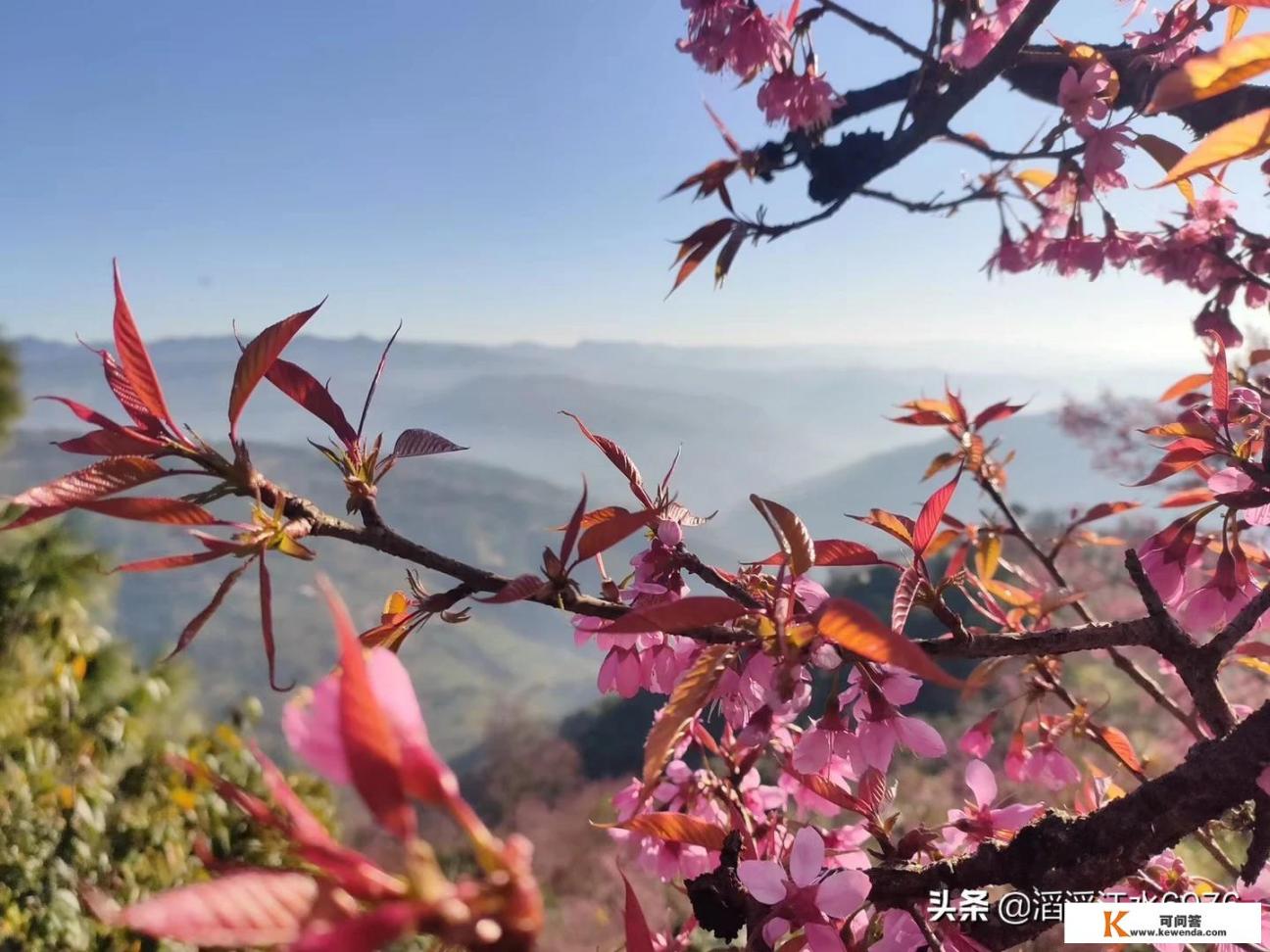 为什么说“云南只有一个景区，这个景区叫云南”_云南省有哪些5A级景区