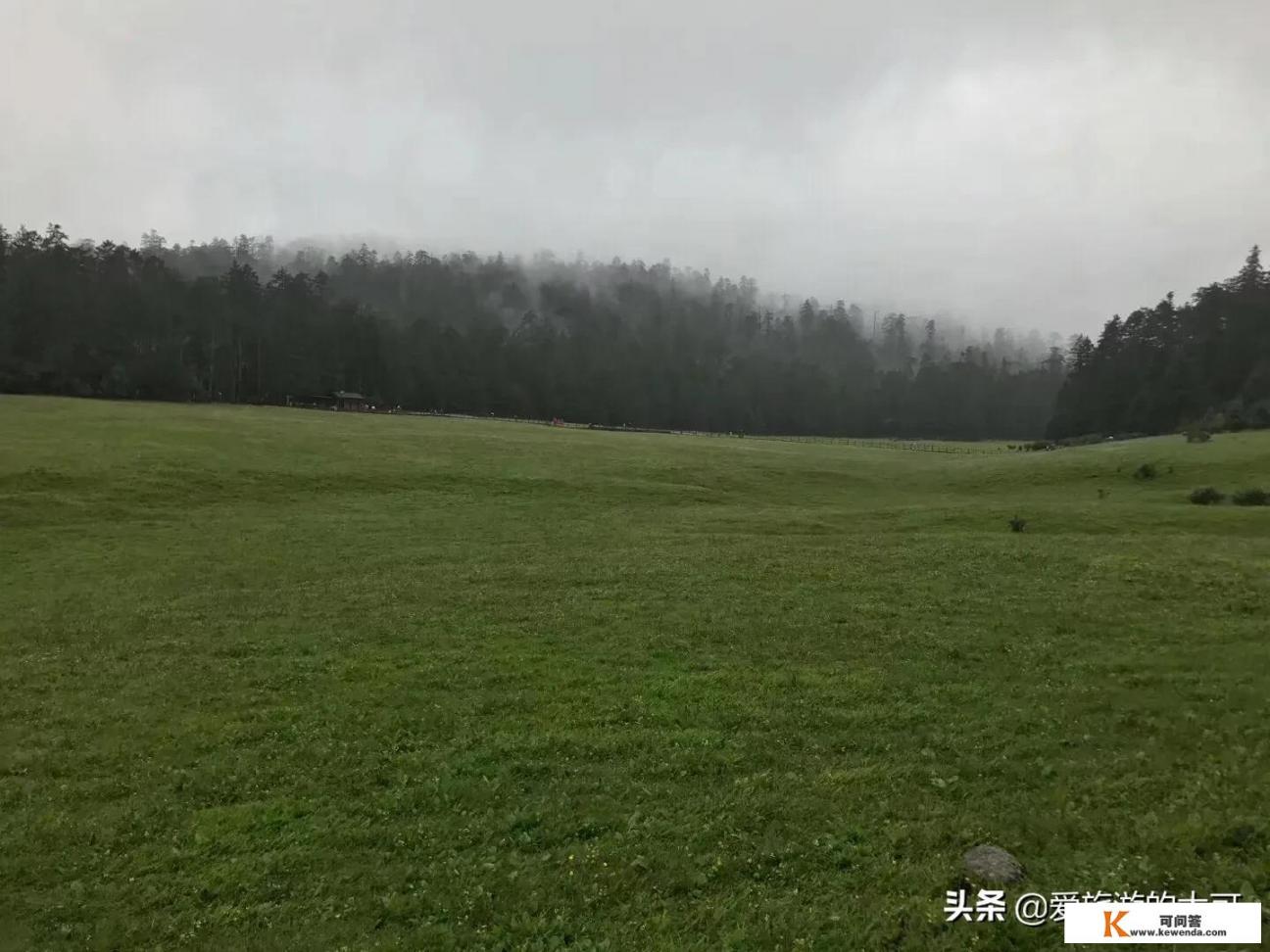 出国旅游购物全攻略_参加“购物团”旅游，如果不买东西的话会有什么后果