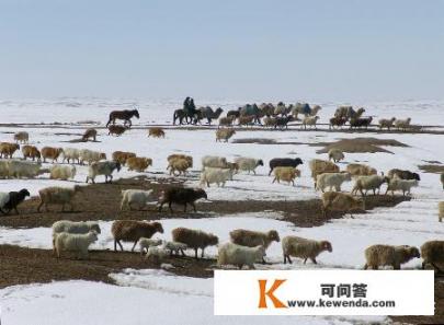 不能出门，你们都在干什么，有什么事值得分享_2019年，你读过的印象最深的书是哪一本