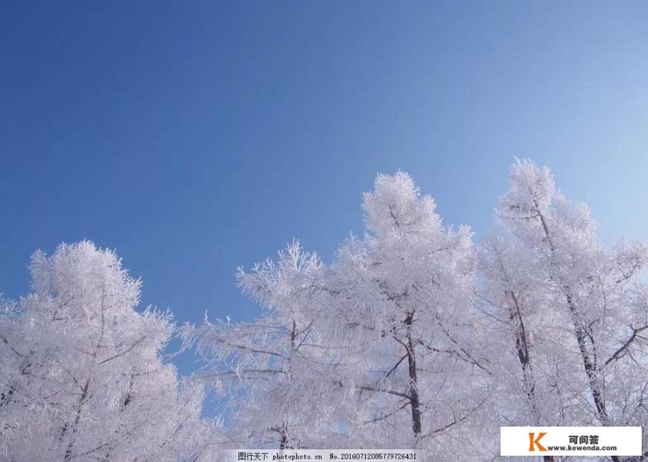 东北的天气一年四季都很冷吗？零下几十度怎么御寒_我是南方人，在北方冬天是否还是应该每天洗澡