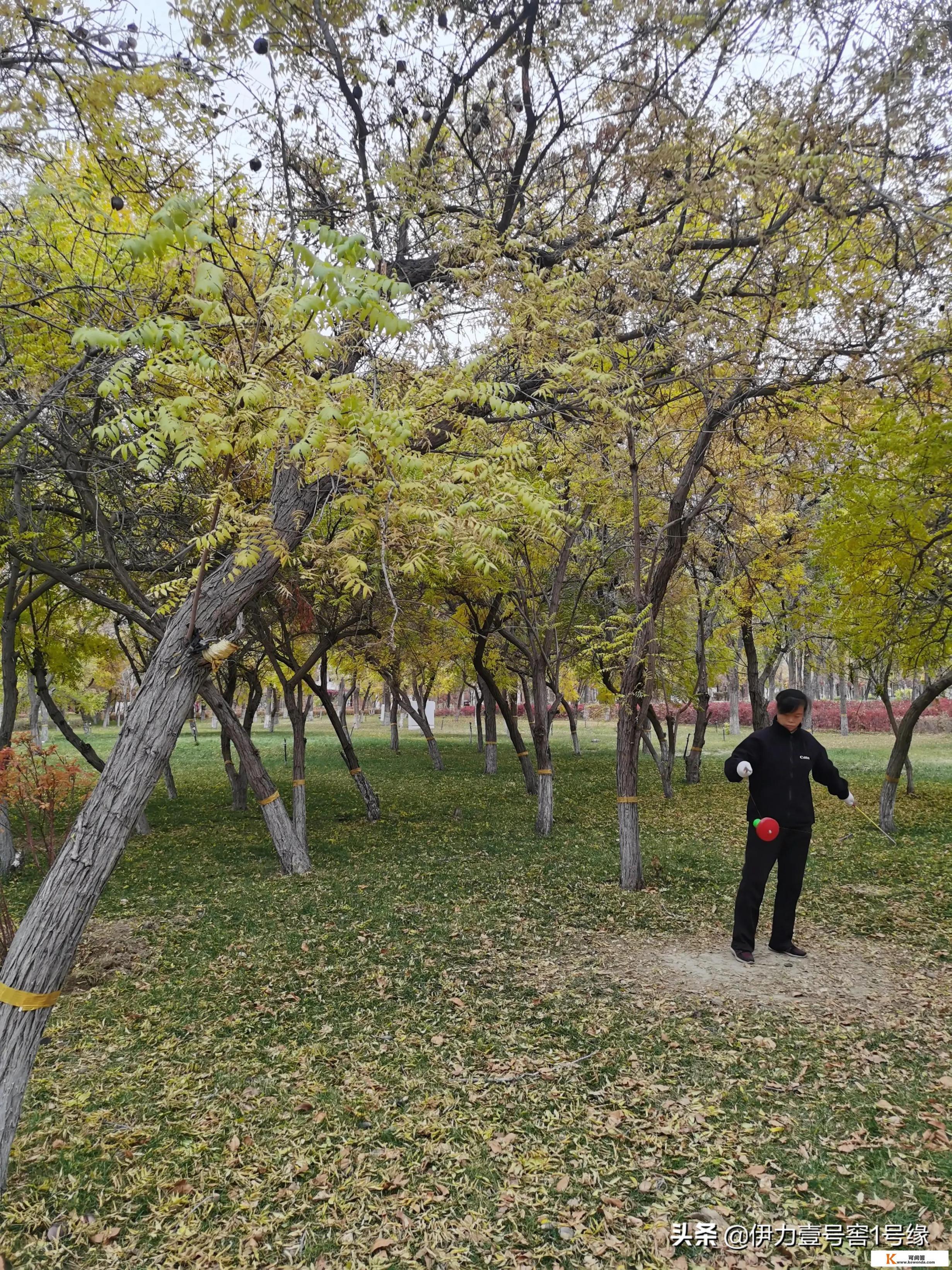 旅行出去外拍，你是喜欢拍风景还是喜欢拍看风景的人_斯洛伐克特产购物攻略