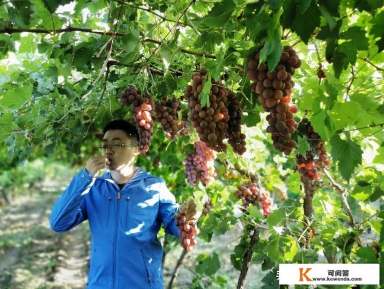 什么时间外地人可以在新疆组团旅游_乌市人到疆内旅游有什么规定