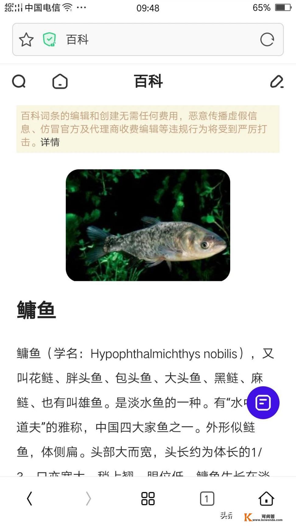 钓花白鲢可以用串钩吗_你听说过什么体现了善有善报的真实故事