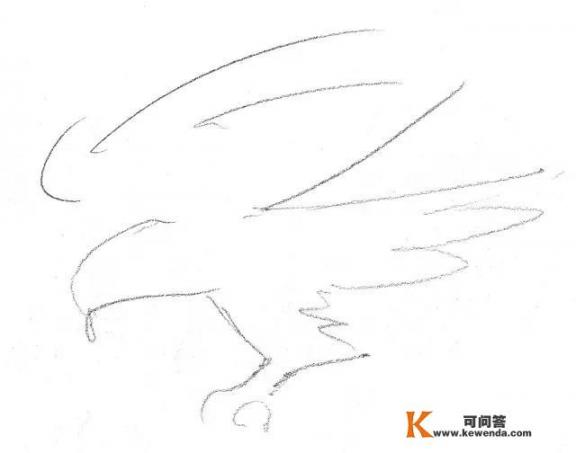 鹰、雕、鹏在绘画中里有什么区别_如何画一只老鹰