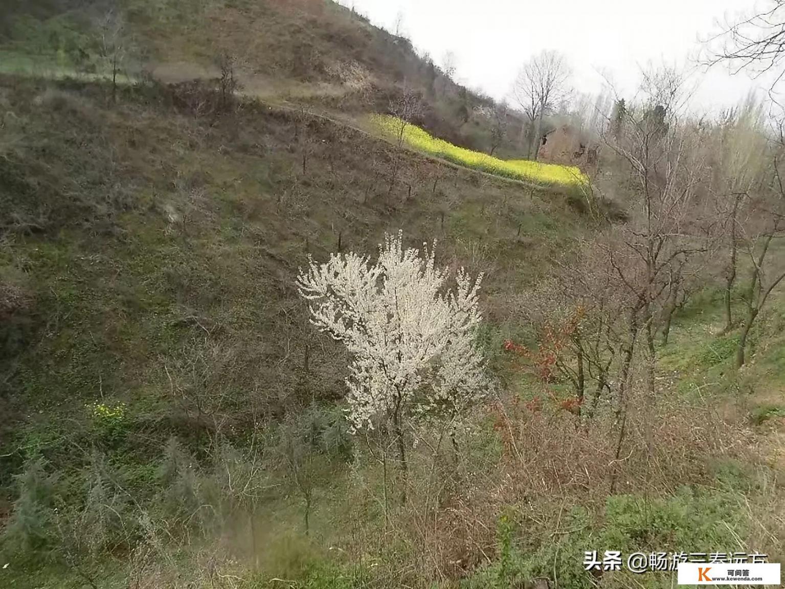 马菜馅合子的做法