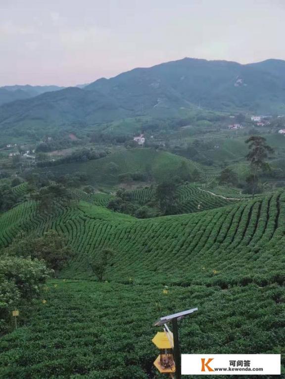 乡村旅游规划总体构思思路有哪些