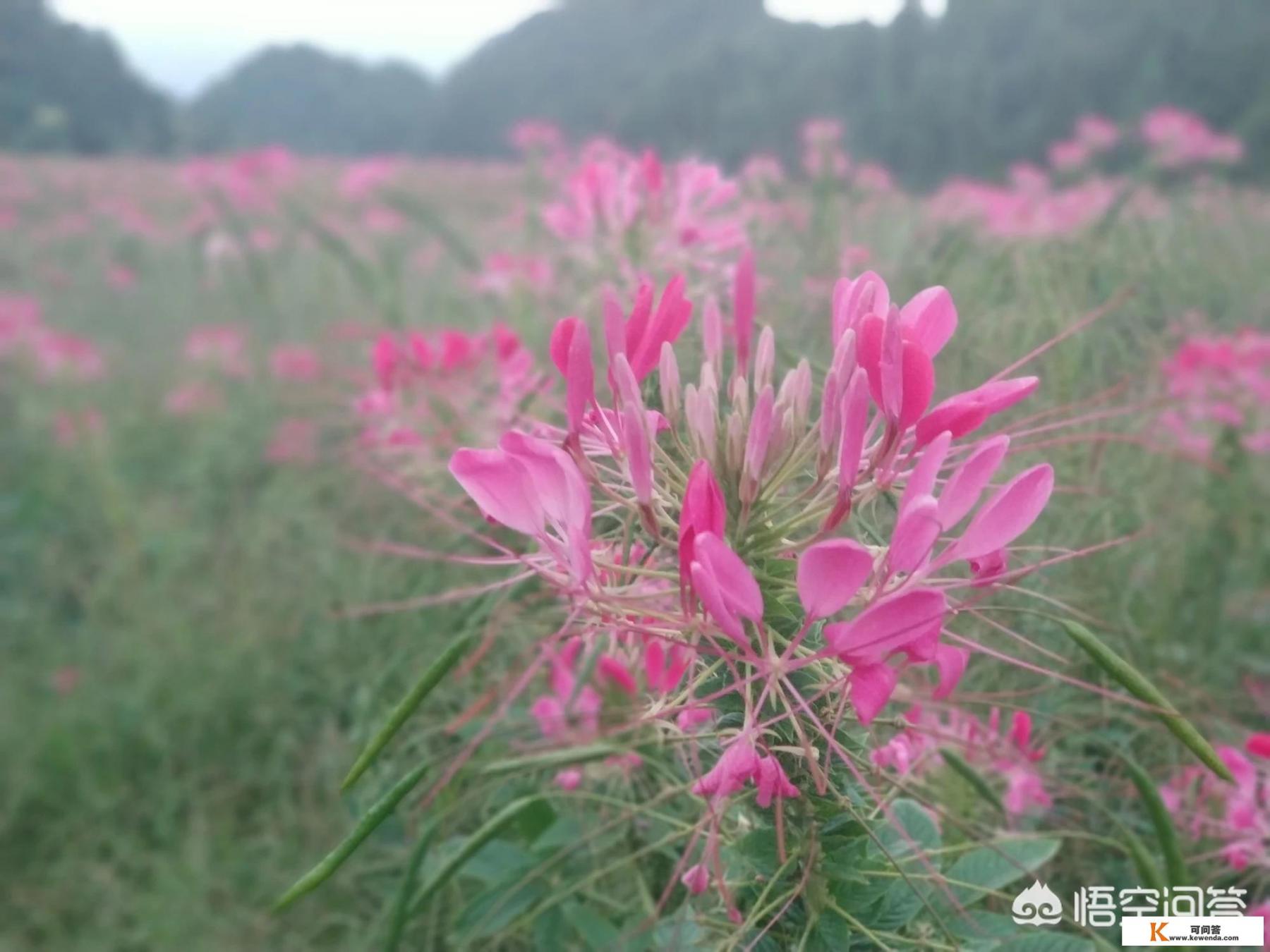 在现实生活中，你有没有一次说走就走的旅游