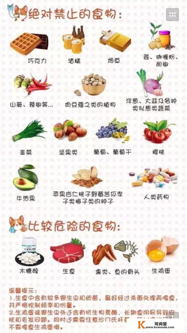 六个多月的马犬，可以吃玉米面，麸皮吗