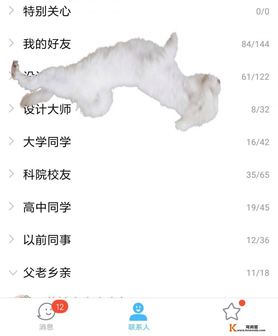 什么是熊猫迪