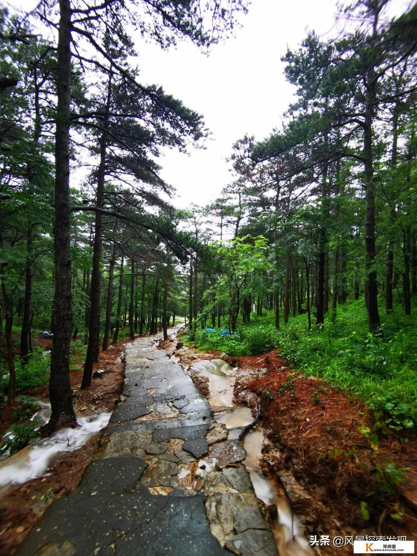 庐山旅游住哪里比较好？