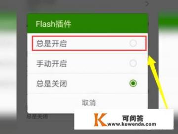 安卓手机5.0以上怎么玩电脑网页上的flash游戏？