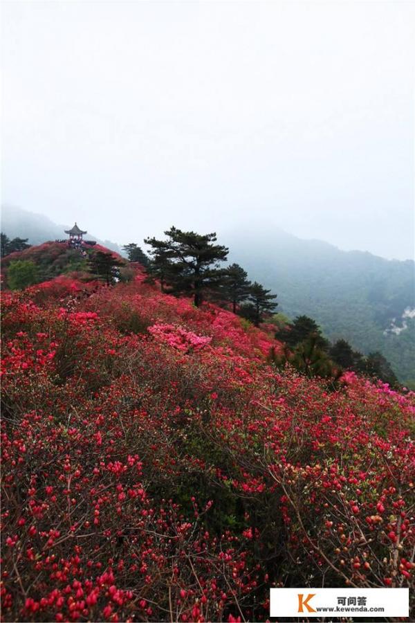 “人间四月天，麻城看杜鹃”，麻城是全国红色旅游圣地，素有三台八景。你到过没有？