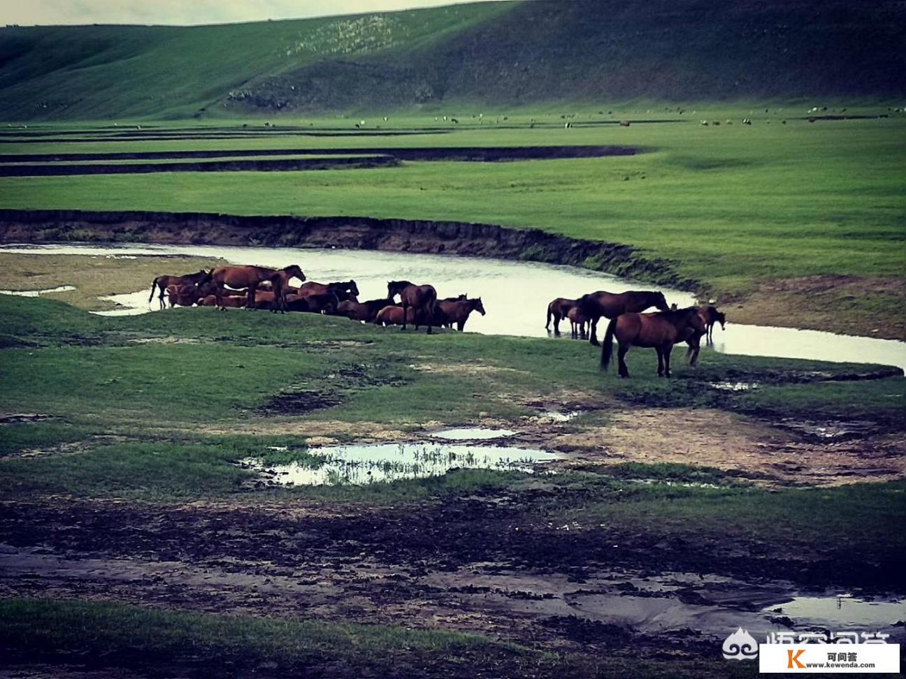 暑假适合带孩子旅游的地方