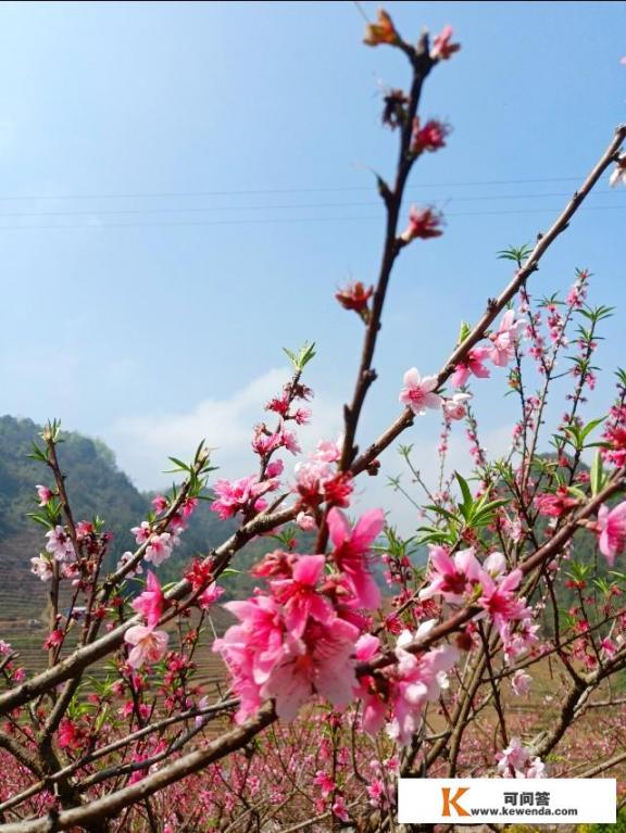 春天来了，如何写好“春天”