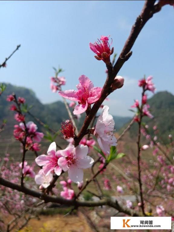 春天来了，如何写好“春天”