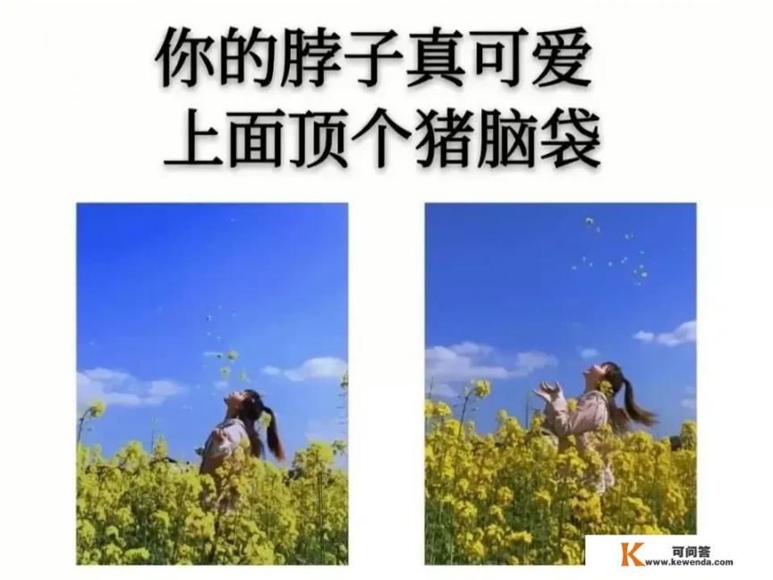 你听过哪些怼人的语录