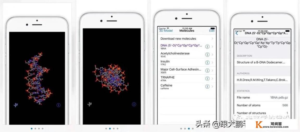 分子生物技术是什么学科？