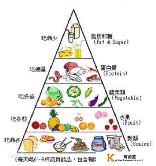 健康饮食金字塔4+1是什么？