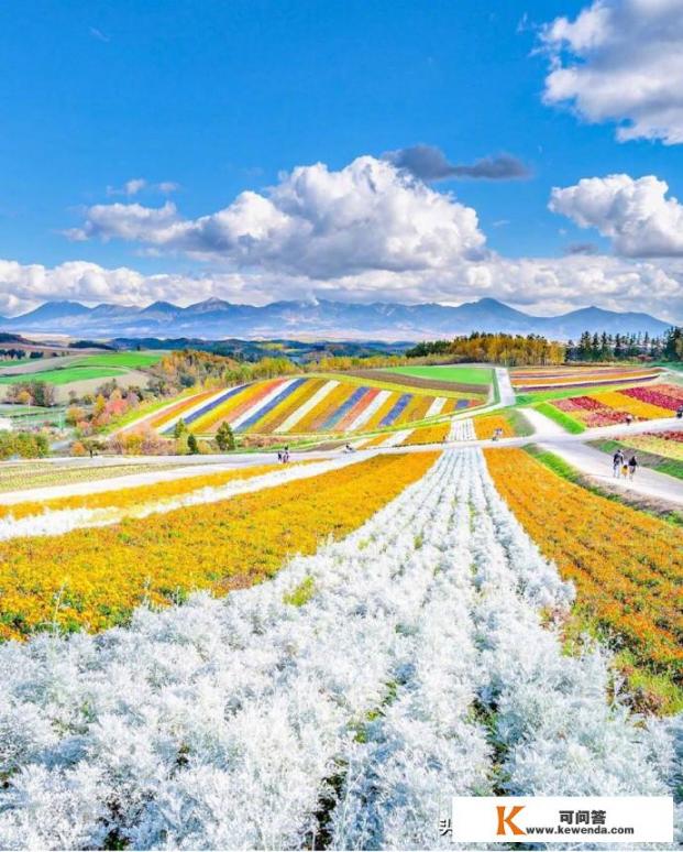 北海道的最佳旅游季节？