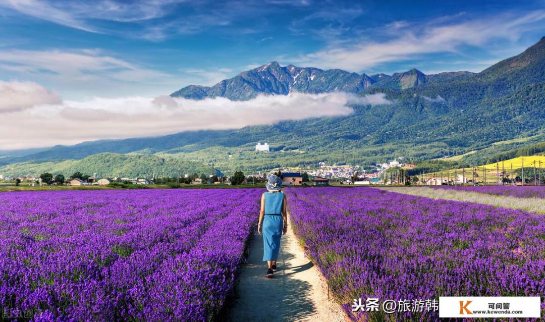 北海道的最佳旅游季节？